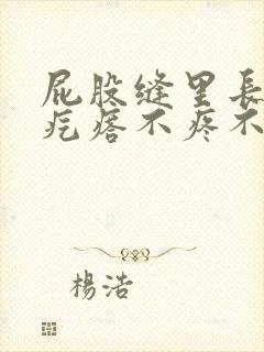 屁股缝里长了个疙瘩不疼不痒封面