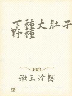 下种大肚子怀孕野种