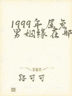 1999年属兔男姻缘在哪年