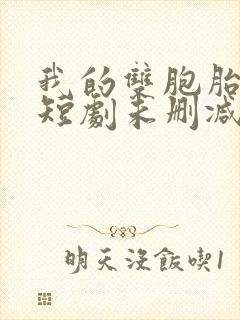 我的双胞胎姐妹短剧未删减