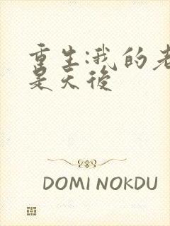 重生:我的老婆是天后封面