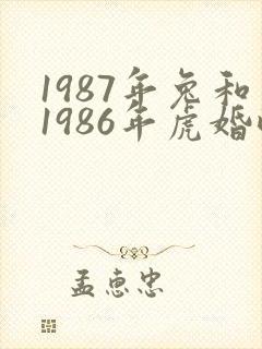 1987年兔和1986年虎婚配