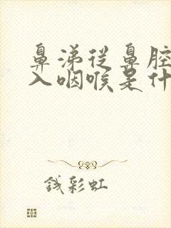 鼻涕从鼻腔内流入咽喉是什么原因