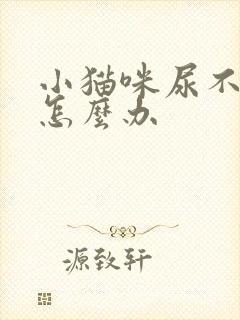 小猫咪尿不出来怎么办