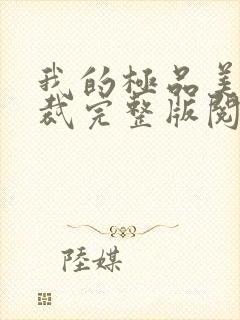 我的极品美女总裁完整版阅读