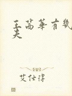 王茜华有几任丈夫