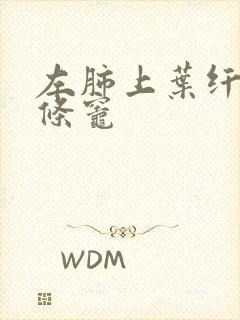 左肺上叶纤维索条灶