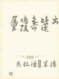 属鸡未时出生的男孩命运封面