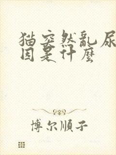 猫突然乱尿的原因是什么封面