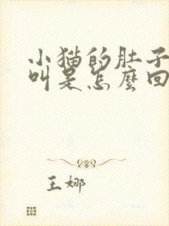 小猫的肚子咕咕叫是怎么回事