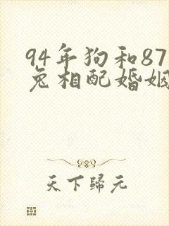 94年狗和87兔相配婚姻如何