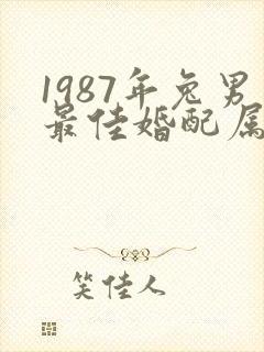 1987年兔男最佳婚配属相