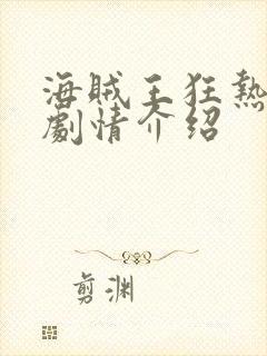 海贼王狂热行动剧情介绍