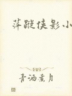 萍踪侠影小说封面