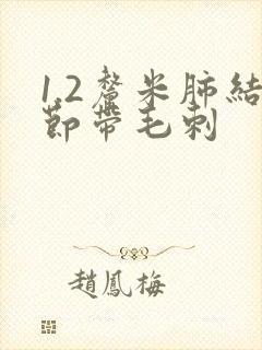 1.2厘米肺结节带毛刺