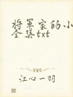 将军家的小娘子全集txt