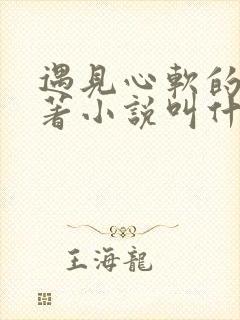 遇见心软的神原著小说叫什么名字