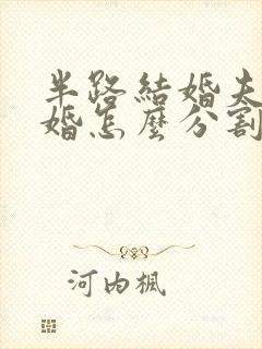 半路结婚夫妻离婚怎么分割财产