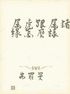 属虎跟属猪的姻缘怎么样