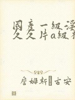 国产一级淫片久久久片a级杨