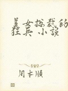 美女总裁的极品狂兵 小说