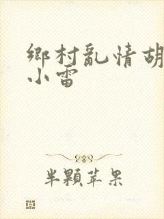 乡村乱情胡秀英小雷封面