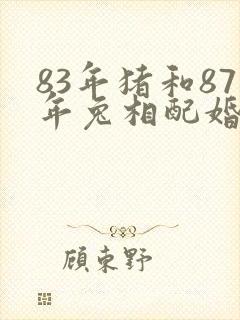 83年猪和87年兔相配婚姻如何