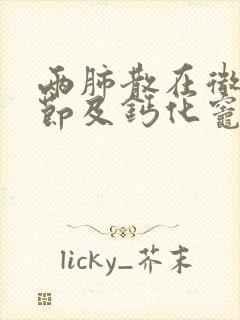 两肺散在微小结节及钙化灶