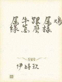 属牛跟属鸡的姻缘怎么样