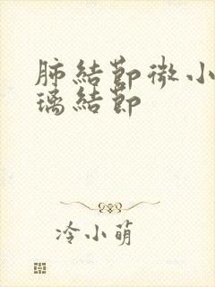 肺结节微小磨玻璃结节封面