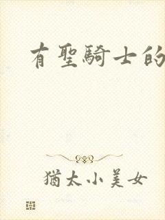 有圣骑士的手游封面