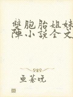 双胞胎姐妹齐上阵小说全文阅读