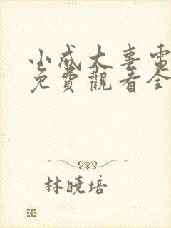 小成大事电视剧免费观看全集高清版