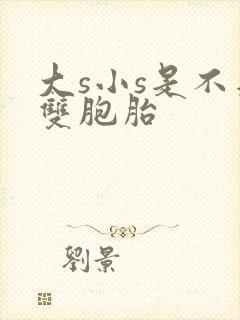 大s小s是不是双胞胎