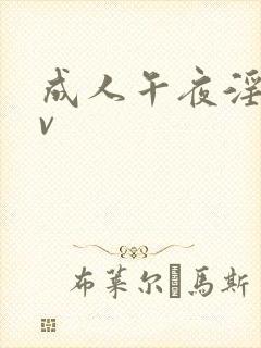 成人午夜淫片av