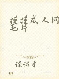 摸摸成人网美国毛片封面