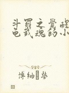 斗罗之觉醒玄龙龟武魂的小说