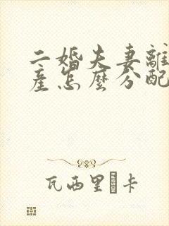 二婚夫妻离婚财产怎么分配的法律