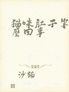 猫咪肚子响是怎么回事