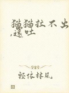 猫猫拉不出屎尿,还吐