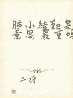 肺小结节是什么意思 严重吗