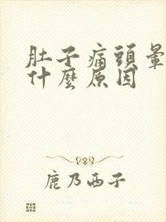 肚子痛头晕想吐什么原因