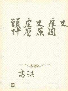 头皮又痒又油是什么原因