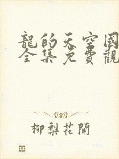 龙的天空国语版全集免费观看