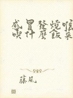 感冒发烧喉咙痛吃什么饭菜好封面