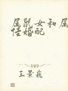 属鼠女和属狗最佳婚配