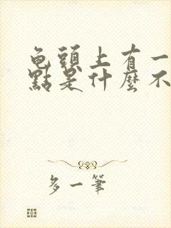 龟头上有一个红点是什么不痛不痒