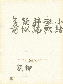 多发肺微小结节前纵隔软结节封面