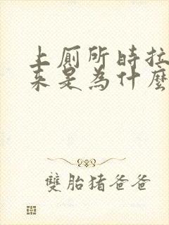 上厕所时拉出血来是为什么