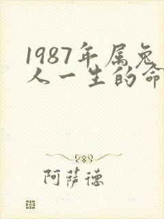 1987年属兔人一生的命运